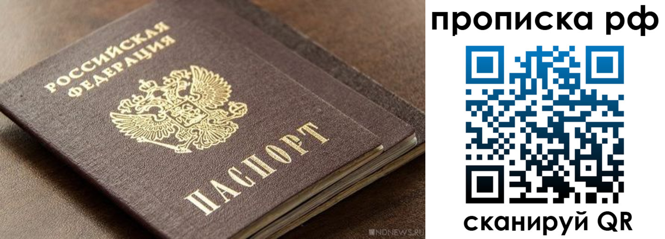временная регистрация гарантия в Димитровграде